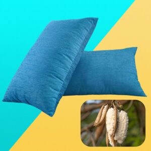 Ocean Pillow Set of 2- Cotton Pillow for Sleeping, Kapok Cotton Pillows/Ilvam Panju Pillows